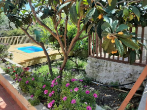 Carrubo - Giardino in città